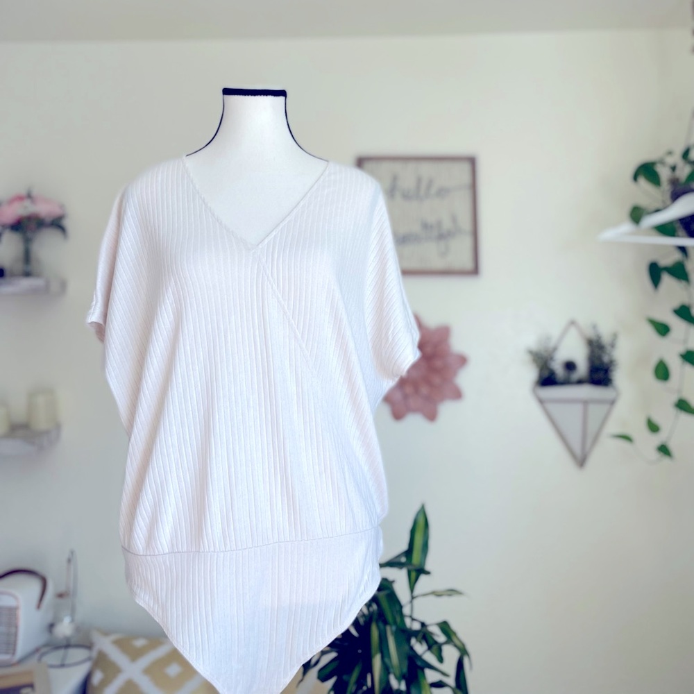 Express Short Sleeve Ribbed V-Neck Bodysuit Size L NWT